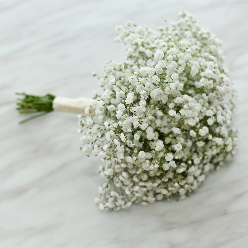 Baby's Breath Bouquet Sydney